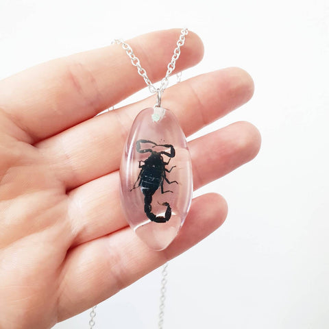 Real Scorpion Insect Jewellery